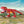 Laden Sie das Bild in den Galerie-Viewer, Edukie 1301- T-Rex baubare Dinosaurier Figur - 131 Klemmbausteine
