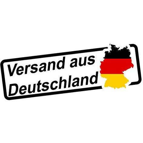 Ausini 29507 - Forst-LKW mit Kran und Baumstämmen - 274 Klemmbausteine