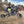 Laden Sie das Bild in den Galerie-Viewer, Mould King 18006 -  2,4 Ghz RC Technik Monstertruck Rebel Tow - 1507 Klemmbausteine [17308006]
